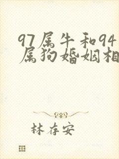97属牛和94属狗婚姻相配吗