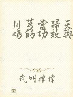 川芎当归天麻炖鸡的功效与作用