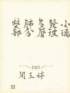 双肺多发小结节部分磨玻璃结节