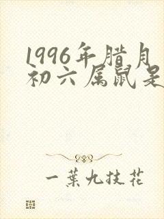 1996年腊月初六属鼠是什么命封面