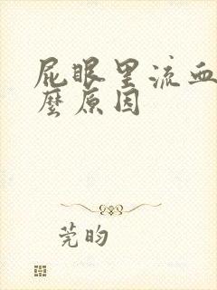 屁眼里流血是什么原因