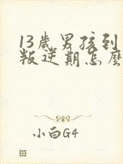 13岁男孩到了叛逆期怎么教封面