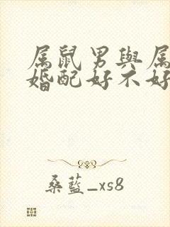 属鼠男与属龙女婚配好不好