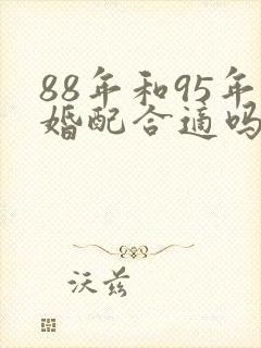 88年和95年婚配合适吗
