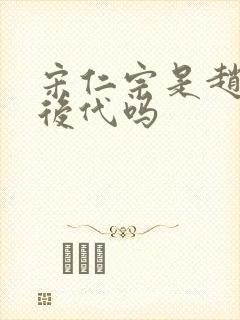 宋仁宗是赵匡胤后代吗封面