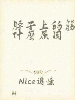 脖子上的筋疼是什么原因