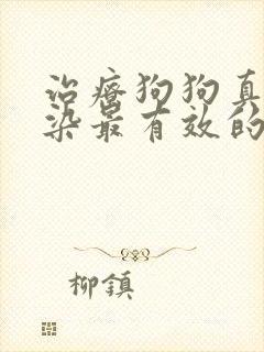 治疗狗狗真菌感染最有效的药