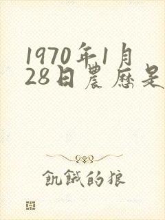 1970年1月28日农历是多少