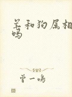 羊和狗属相相配吗