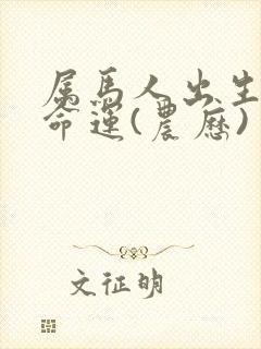 属马人出生月的命运(农历)