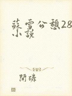 苏雪公憩28篇小说