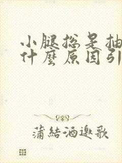 小腿总是抽筋是什么原因引起的封面