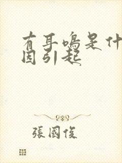 有耳鸣是什么原因引起