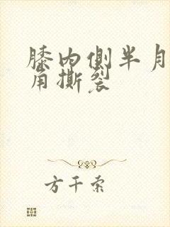 膝内侧半月板后角撕裂