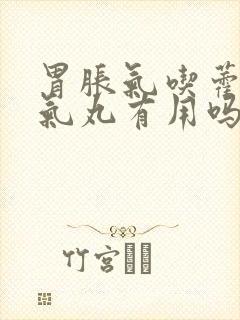 胃胀气吃藿香正气丸有用吗封面