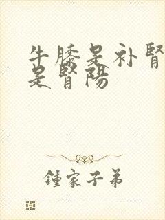 牛膝是补肾阴还是肾阳