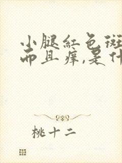 小腿红色斑点,而且痒,是什么毛病