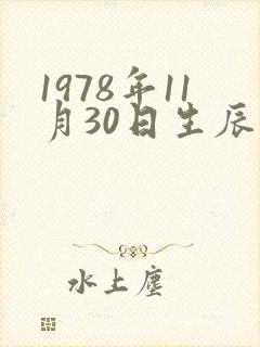 1978年11月30日生辰八字