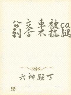 公交车被cao到合不拢腿视频