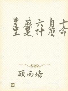 农历六月十六出生是什么命封面