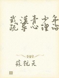 武汉青少年心理疏导心理治疗专家