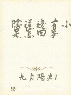 阴道边有小疙瘩是怎回事