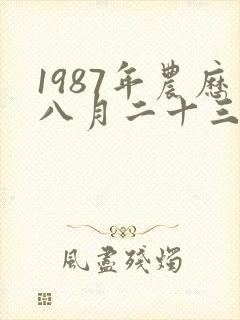 1987年农历八月二十三是什么命