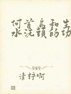 何首乌和生姜煮水洗头的功效作用