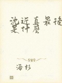 沈近真最后结局是什么封面