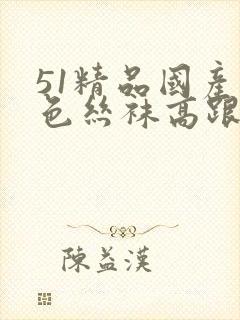 51精品国产黑色丝袜高跟鞋