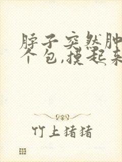 脖子突然肿了一个包,摸起来有点硬有点痛