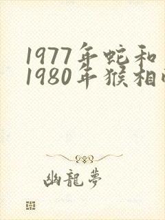 1977年蛇和1980年猴相配吗