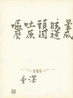 呕吐头眩晕是什么原因造成的