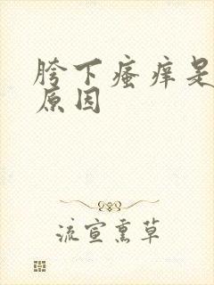 胯下瘙痒是什么原因