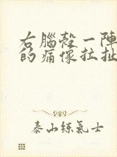 右脑壳一阵一阵的痛像拉扯神经封面