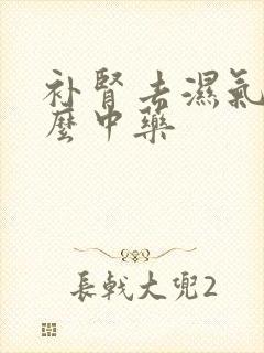 补肾去湿气吃什么中药