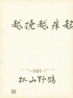 越挠越痒起疙瘩封面