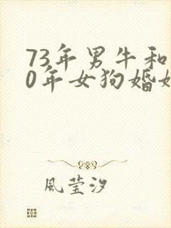 73年男牛和70年女狗婚姻