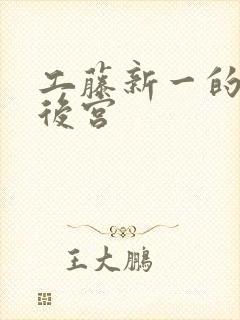 工藤新一的日本后宫