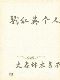 刘红英个人资料