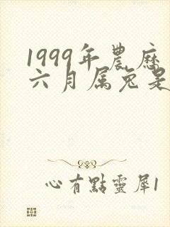 1999年农历六月属兔是什么命
