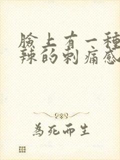 脸上有一种火辣辣的刺痛感封面