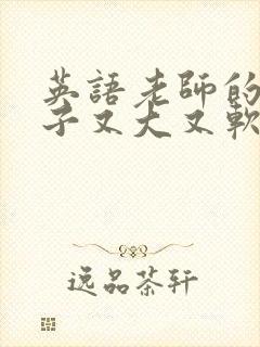 英语老师的小兔子又大又软封面