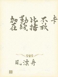 加勒比不卡av在线播放