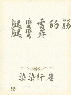 腿弯处的筋痛后腿弯疼