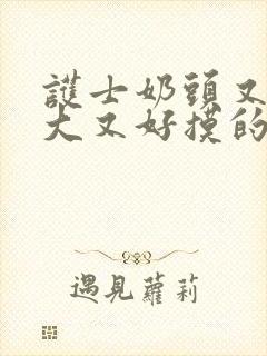 护士奶头又白又大又好摸的小说