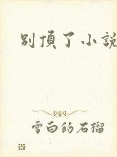 别顶了小说封面