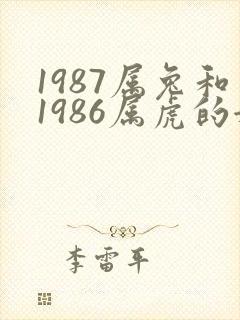 1987属兔和1986属虎的姻缘