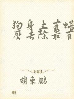 狗身上有螨虫怎么去除最有效方法