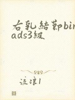 右乳结节birads3级